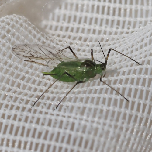 Photo of the association