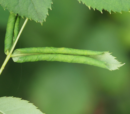 Photo of the association