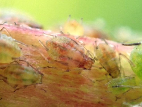 Photo of the association