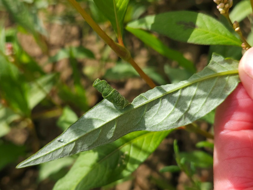 Photo of the association