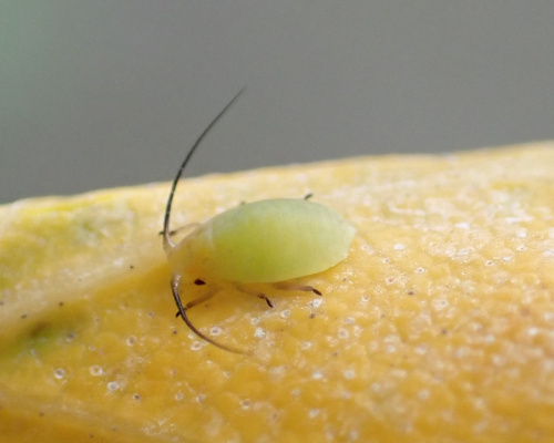 Photo of the association