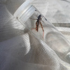 Gomphocerippus rufus | Rufous Grasshopper